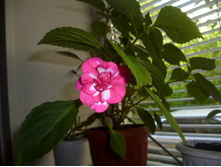 P1000638.JPG