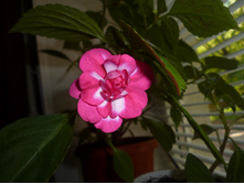 P1000637.JPG
