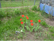 P1000564.JPG