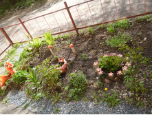 P1000615.JPG