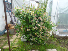 P1000650.JPG