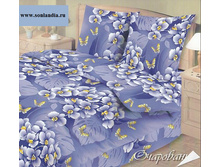 blue_0443.jpg
