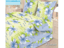 blue_0448.jpg