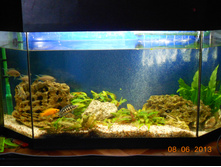 DSCN1061.JPG