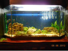 DSCN1064.JPG