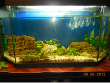 DSCN1065.JPG