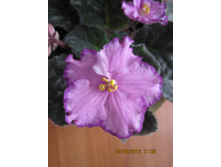 09.06.2013 14:34:11