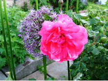 S73R4636.JPG
