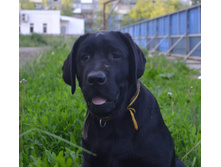 DSC_3538.JPG