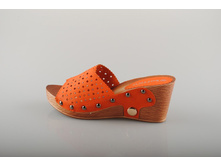 C��� Bottico 585 ���.