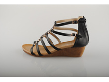��������� Bottico 585 ���.