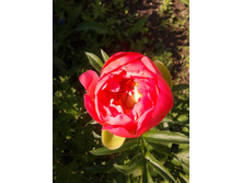 20130608_160627.jpg