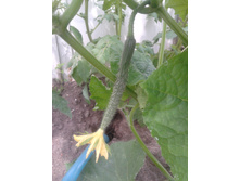 20130612_135839.jpg