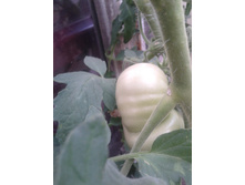 20130612_135936.jpg