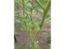 20130612_135957.jpg