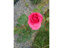 20130612_140249.jpg