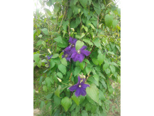 20130612_140328.jpg