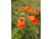 20130612_140343.jpg