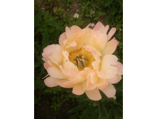 20130612_140414.jpg