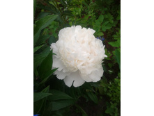 20130612_140420.jpg