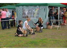 IMG_2450.JPG
