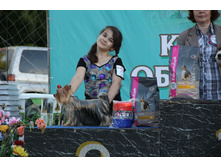 IMG_2636.JPG
