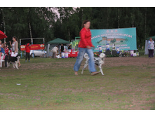 IMG_2731.JPG