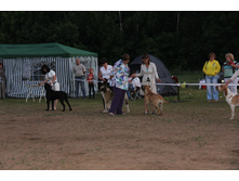 IMG_2742.JPG