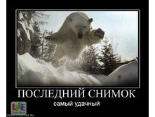 ��������� ������ ... ����� �������
