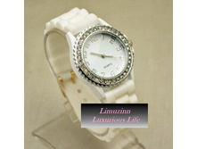 ������� 2BW019 , ���� 100 ���