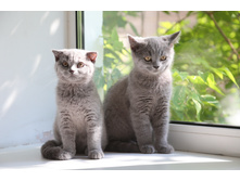 1DX_5187.jpg