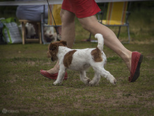 IMG_5431.jpg