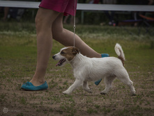 IMG_5462.jpg