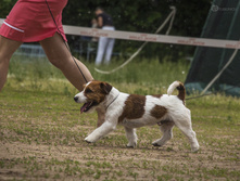IMG_5535.jpg