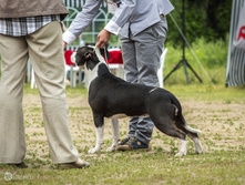 IMG_5852.jpg