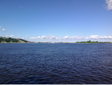 IMG_20130613_092544.jpg