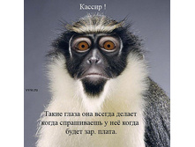 ������.jpeg