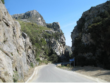 IMG_8620.JPG