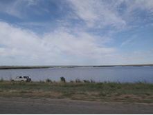 DSCF1413.JPG
