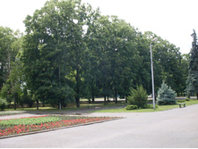 SDC11448.JPG
