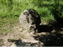 SDC11480.JPG