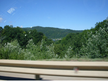 SDC11494.JPG
