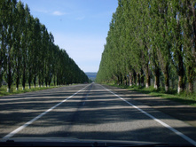SDC11542.JPG
