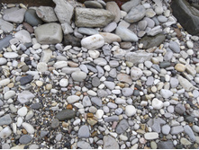 DSCF1477.JPG