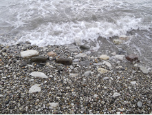DSCF1483.JPG