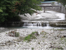 DSCF1503.JPG