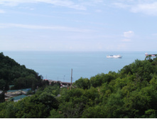 DSCF1529.JPG