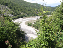 DSCF1583.JPG