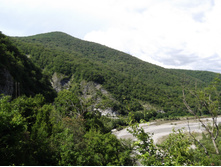 DSCF1584.JPG