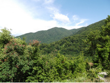 DSCF1585.JPG